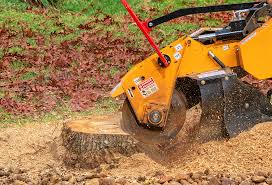 Best Commercial Tree Services  in Carnesville, GA